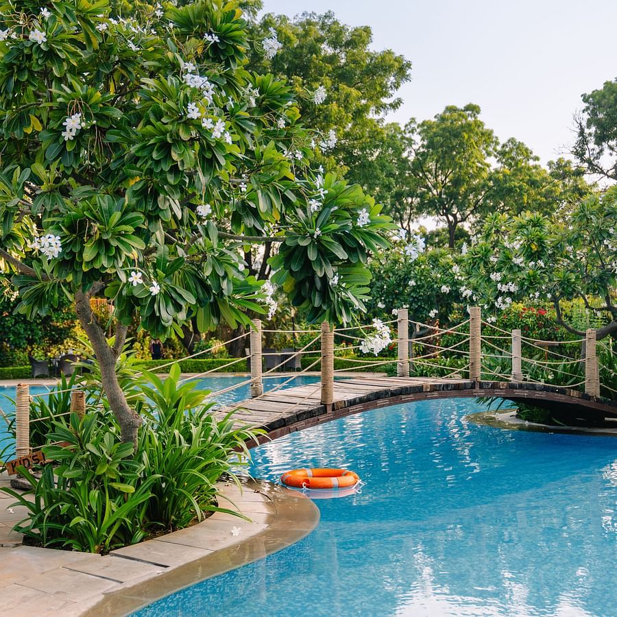 A big swimming pool with a bridge in the middle and greenery around it